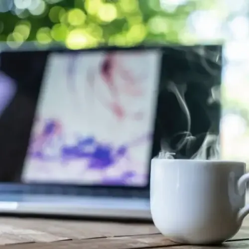 SMART HOME SECURITY SYSTEMS